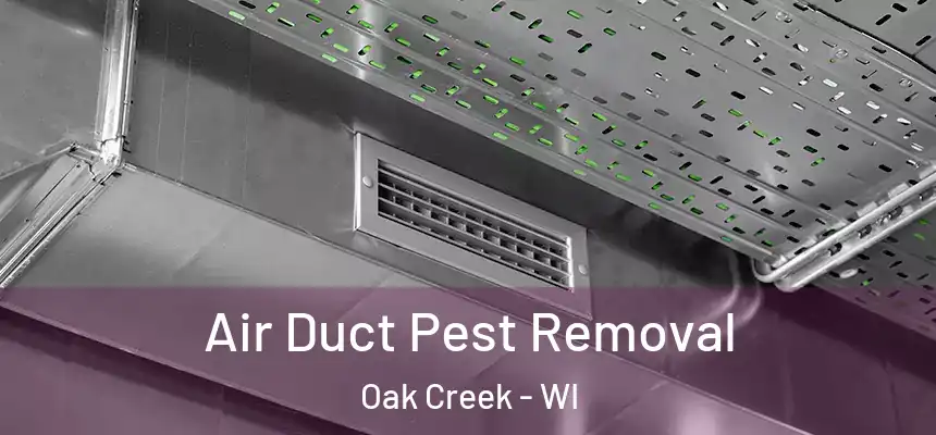  Air Duct Pest Removal Oak Creek - WI