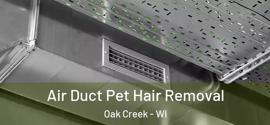  Air Duct Pet Hair Removal Oak Creek - WI