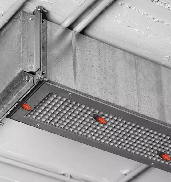 About Air Duct Cockroach Removal in Oak Creek, WI