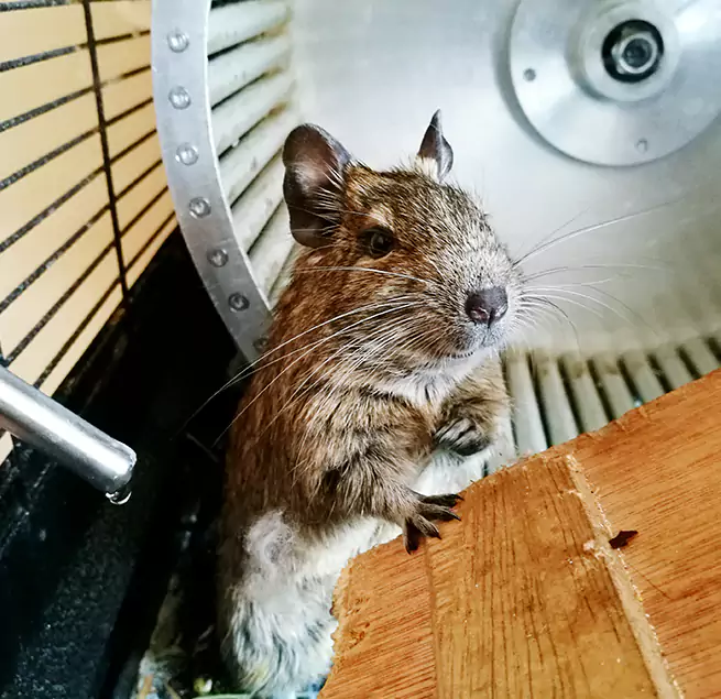 Why Homeowners & Businesses Trust Us Oak Creek, WI?